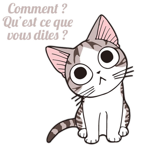 Chi une vie de chat