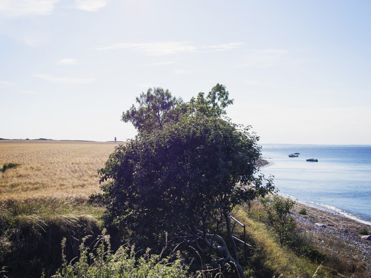 Ile de Ven Suède Rockygirl Voyage