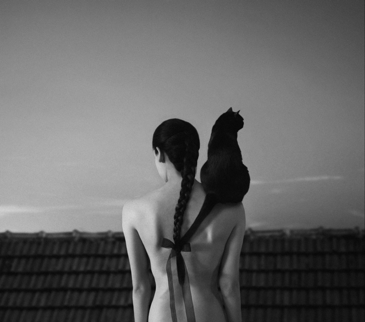 Noell S. Oszvald Photography