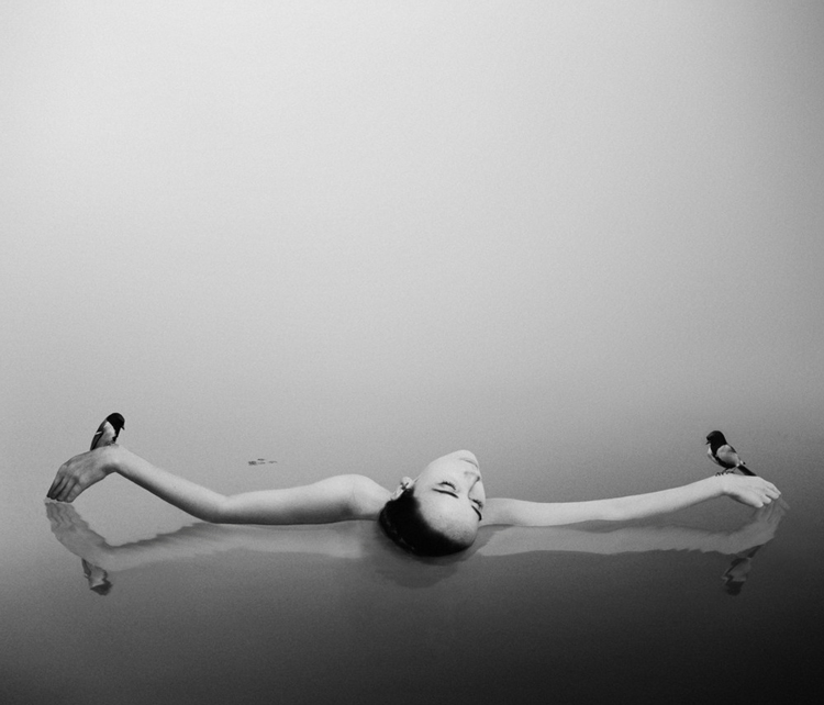 Noell S. Oszvald Photography