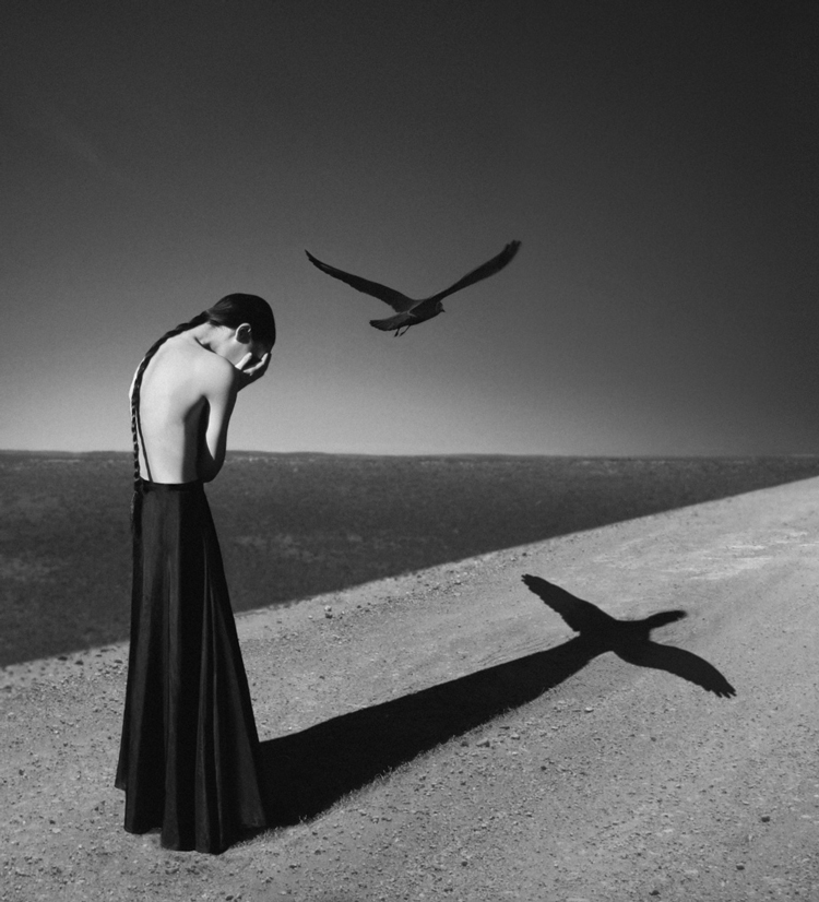 Noell S. Oszvald Photography