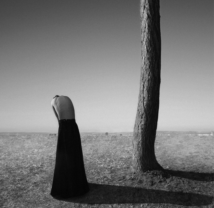 Noell S. Oszvald Photography