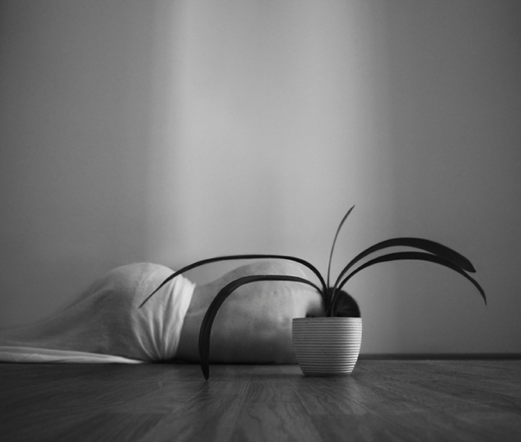 Noell S. Oszvald Photography