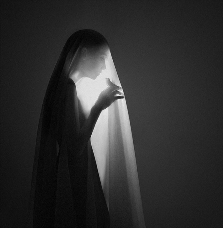 Noell S. Oszvald Photography