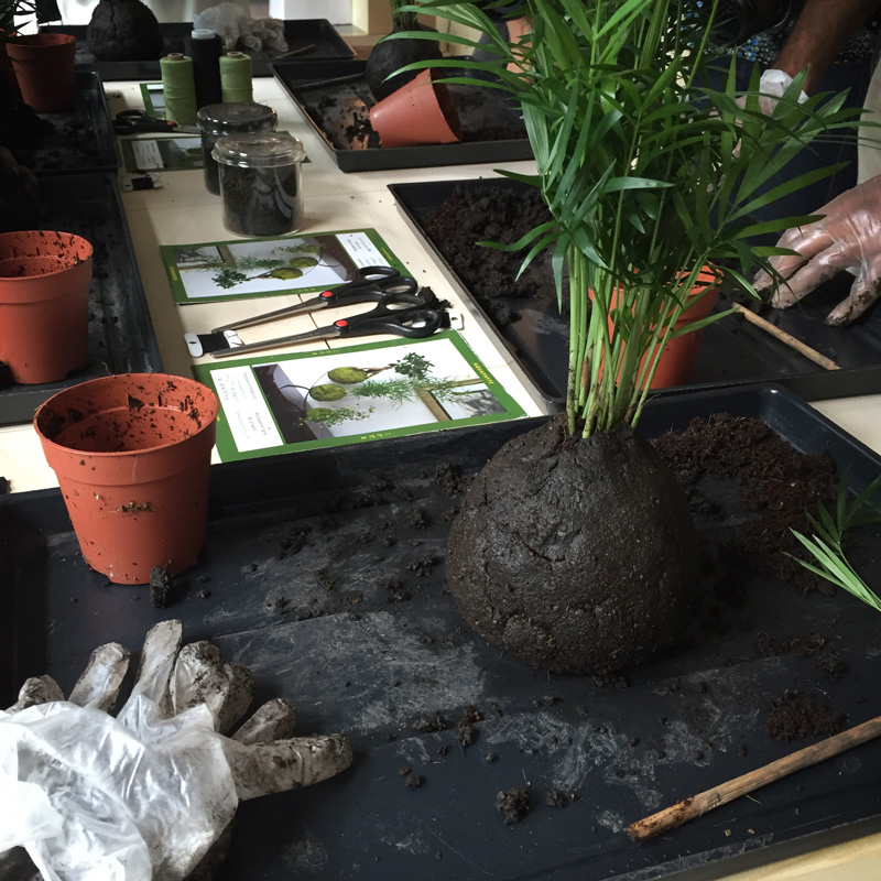 Kokedama Paris Design Week PDW2015