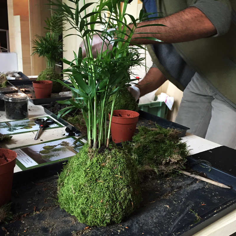 Kokedama Paris Design Week PDW2015