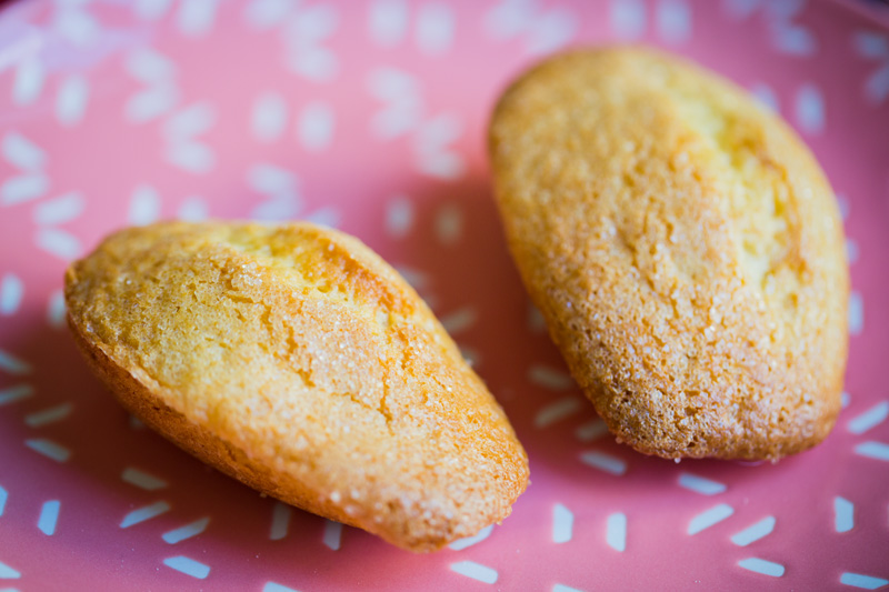 madeleines-espagnoles-3