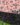 robe-bebe-chauve-souris-rose-cousue-main-2